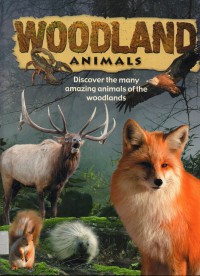 Woodland Animals