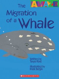 The Migration Of A Whale