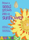 How Seed Grows Into A Sunflower