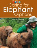 National Geographic Our World : Caring For Elephant Orphans