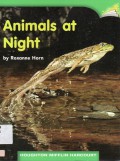 Houghton Mifflin Harcourt : Animals At Night ( Lv D 1.2.7 )