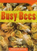 Houghton Mifflin : Busy Bees ( Lv L 2.2.6 )