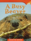 Houghton Mifflin : A Busy Beaver ( Lv I 2.2.6 )