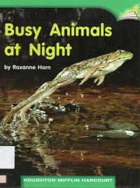 Houghton Mifflin Harcourt  : Busy Animals At Night (Lv D 1.2.7)