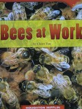 Houghton Mifflin : Bees At Work (Lv L 2.2.6)