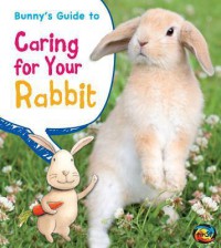 Pets' Guides : Bunny'S Guide To Caring For Your Rabbit