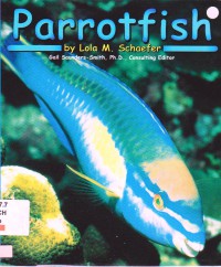 Ocean Life : Parrotfish