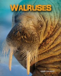 Living In The Wild (Sea Mammals) : Walruses