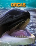 Living In The Wild (Sea Mammals) : Orcas