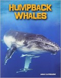 Living In The Wild (Sea Mammals) : Humpback Whales