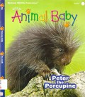 National Wildlife Federation : Wild Animals Baby Issue 2 2013 (Peter The Porcupine)