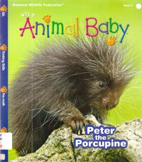 National Wildlife Federation : Wild Animals Baby Issue 2 2013 (Peter The Porcupine)