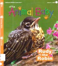 National Wildlife Federation : Wild Animals Baby Issue 3 2013 (Rudy The Robin)