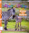 National Wildlife Federation : Wild Animals Baby Issue 5 2013 (Zoey The Zebra)