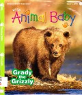 National Wildlife Federation : Wild Animals Baby Issue 1 2014 (Grady The Grizzly)