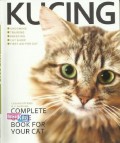 Kucing (Complete Guide Book For Your Cat)