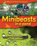 Where To Find Minibeasts : Minibeasts In A Pond