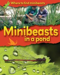 Where To Find Minibeasts : Minibeasts In A Pond