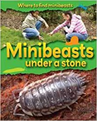 Where To Find Minibeasts : Minibeasts Under A Stone