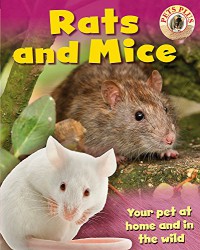 Pets Plus : Rats And Mice