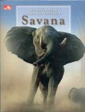 200 Fakta Penting Hewan Dan Habitatnya : Savana