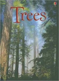 Usborne Beginners : Trees