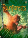 Usborne Beginners : Rainforests