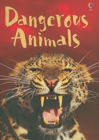 Usborne Beginners : Dangerous Animals