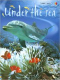 Usborne Beginners : Under The Sea