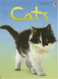 Usborne Beginners : Cats