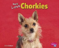 Favorite Designer Dogs : You'Ll Love Chorkies