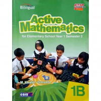 Active Mathematics 1 B