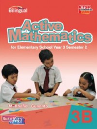 Active Mathematics 3 B