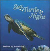 Sea Turtle Night