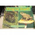 Frog Or Toad?