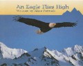 An Eagle Flies High