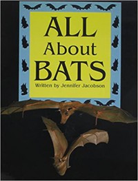 All About Bats