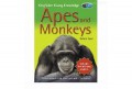 Kingfisher Young Knowledge : Apes And Monkeys