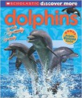 Discover More : Dolphins