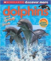 Discover More : Dolphins