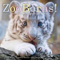 Zoo Borns! Zoo Babies From Around The World