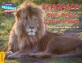 Cambridge Reading Adventures : Scarface The Real Lion King