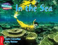 Cambridge Reading Adventures : In The Sea