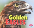 Birds Of Prey : Golden Eagles
