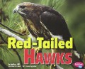 Birds Of Prey : Red - Tailed Hawks