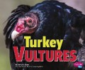 Birds Of Prey : Turkey Vultures