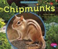 Backyard Animals : Chipmunks