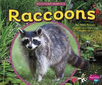 Backyard Animals : Raccoons