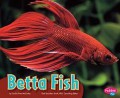 Colorful World Of Animals : Betta Fish