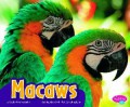 Colorful World Of Animals : Macaws